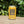 American Ale