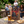 Father's Day 'Thirst Aid Kit' Gift Pack